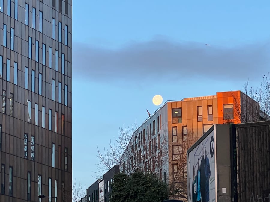 Moon Over a Busy Evening