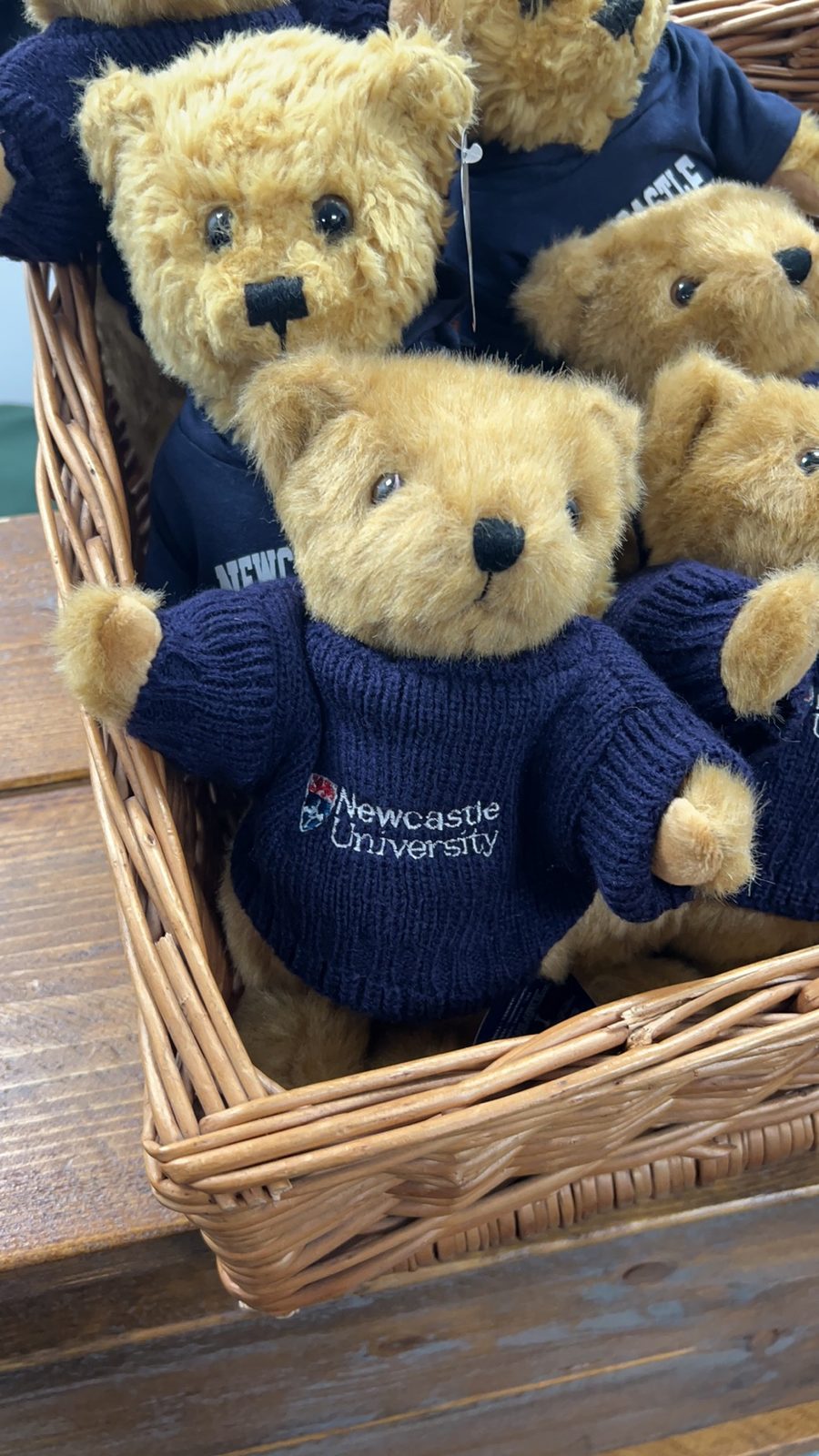 Bears of Newcastle University